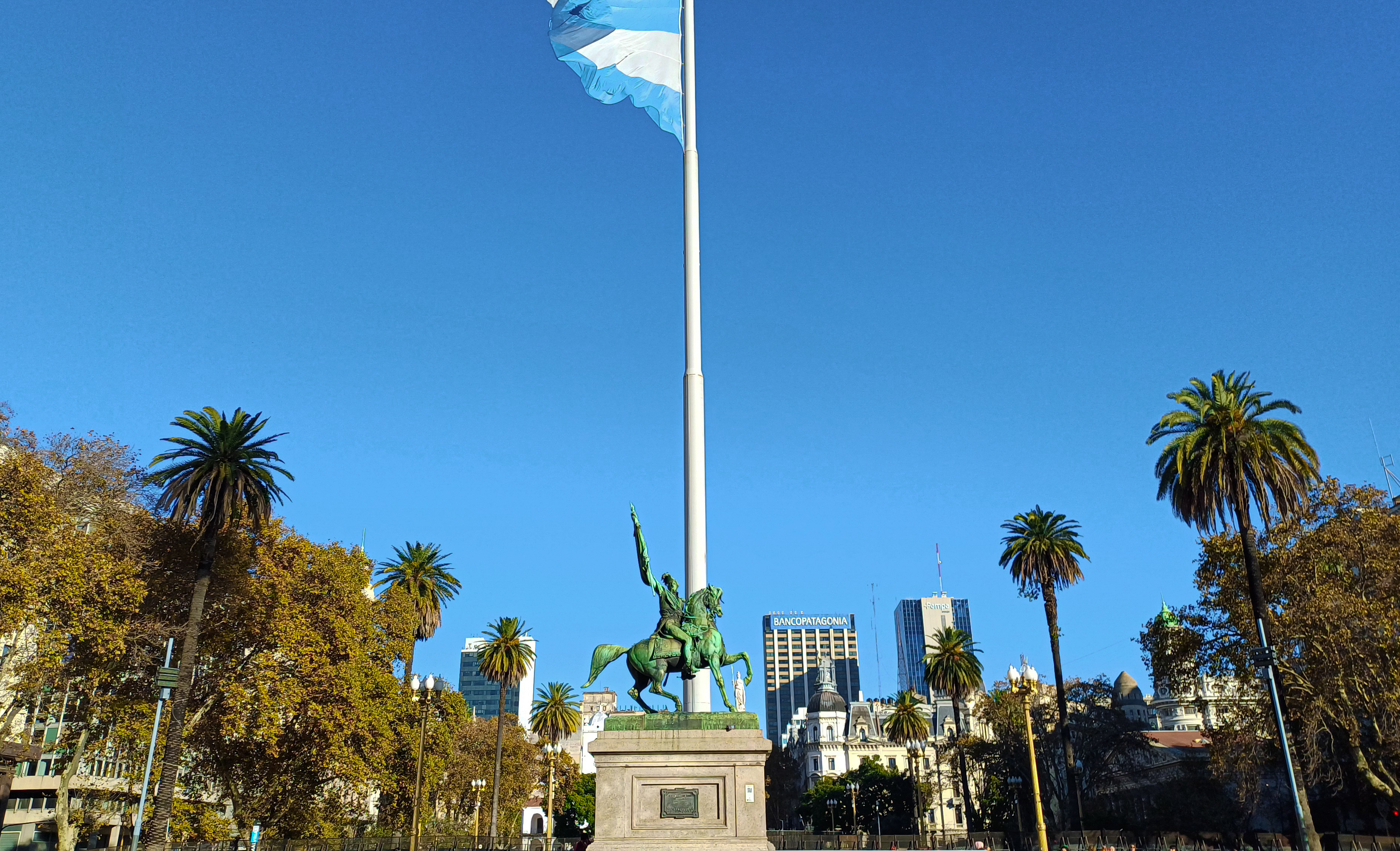 Palmeras de Plaza de Mayo