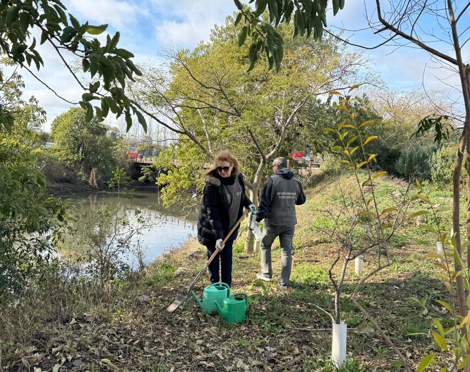 plantación de árboles en la reserva ecológica lugano