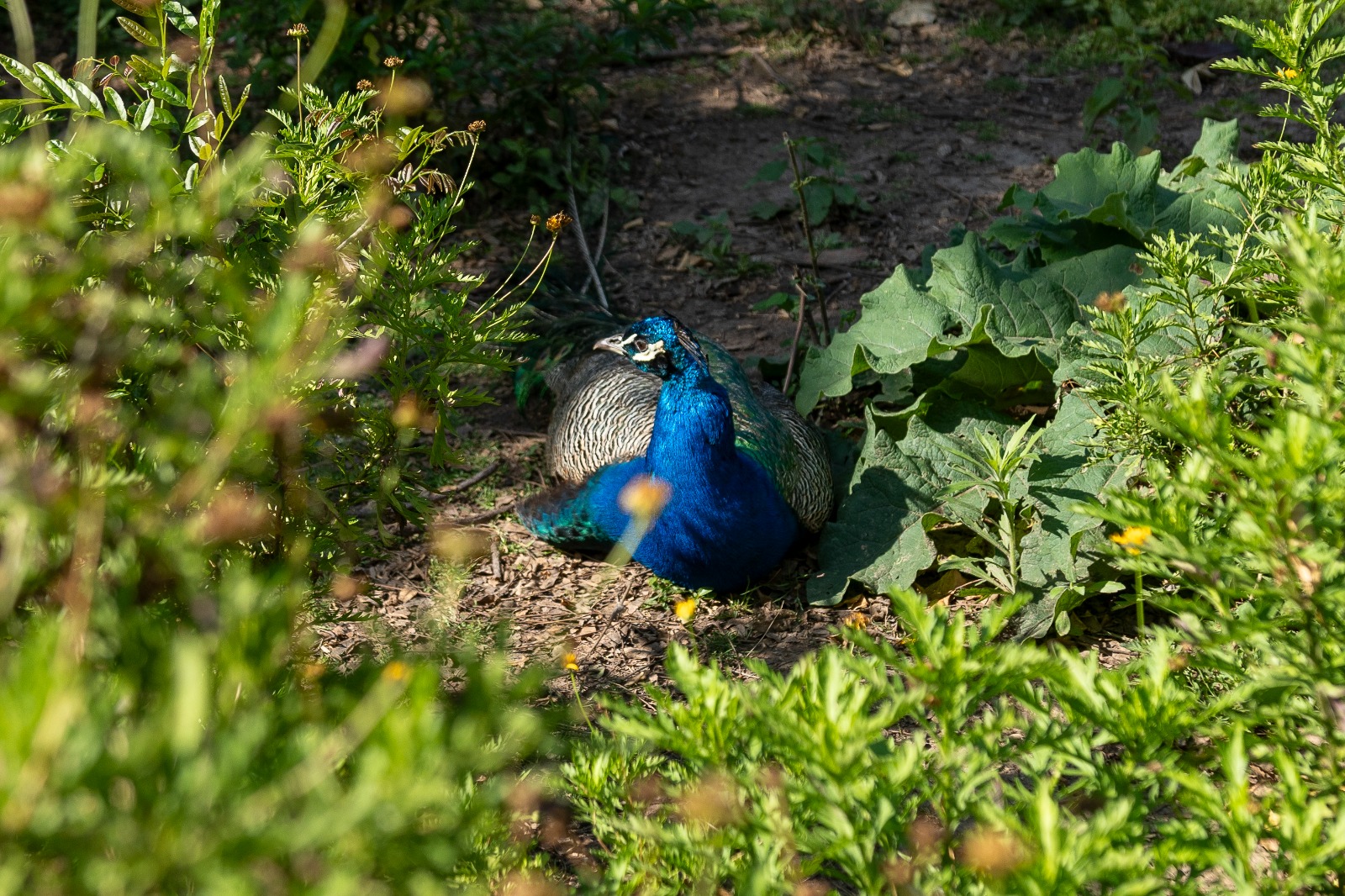 Ecoparque_Comuna 14