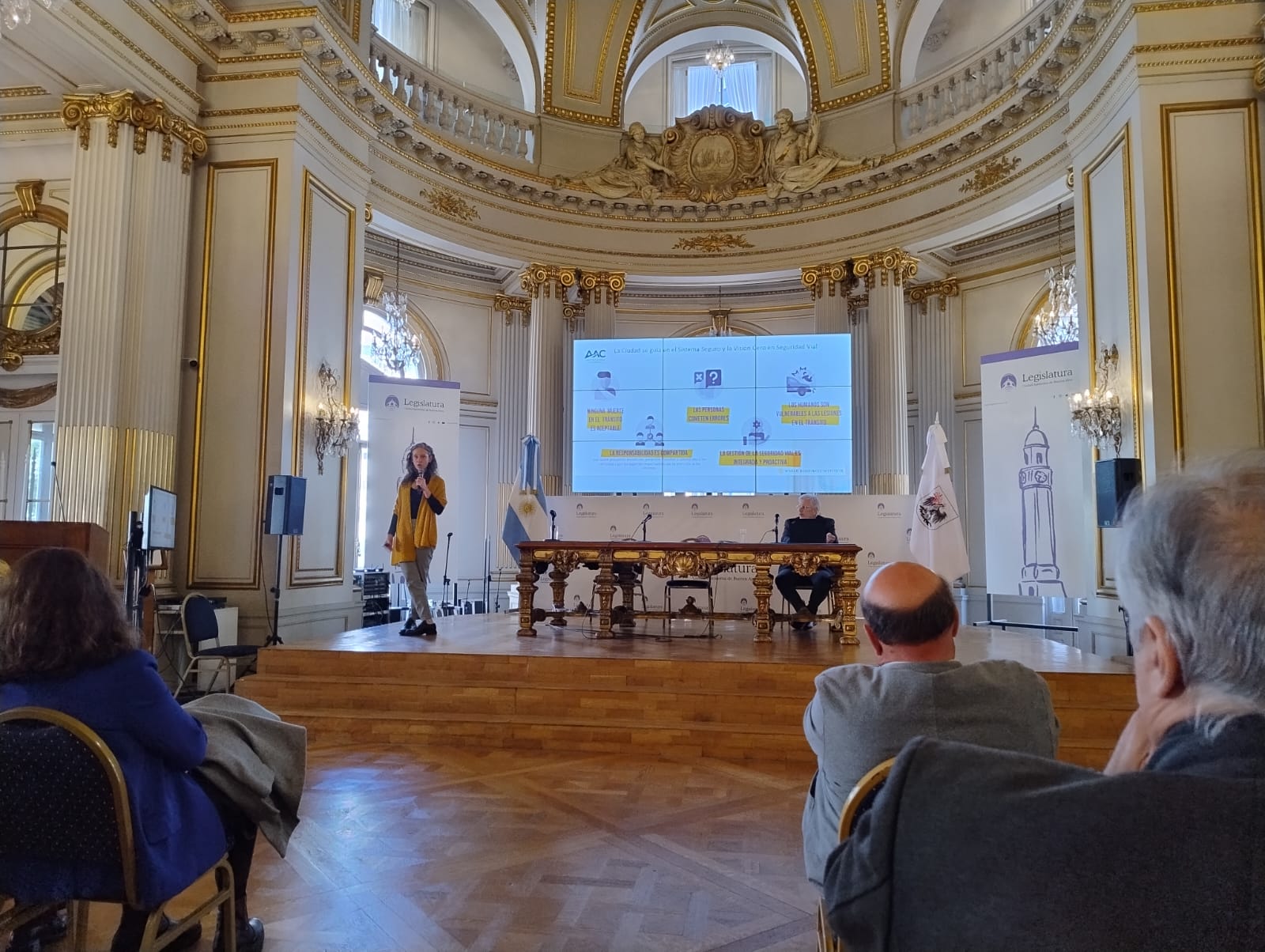 presentación seg vial en legislatura