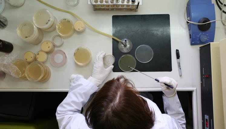 Laboratorio Ambiental de la Ciudad