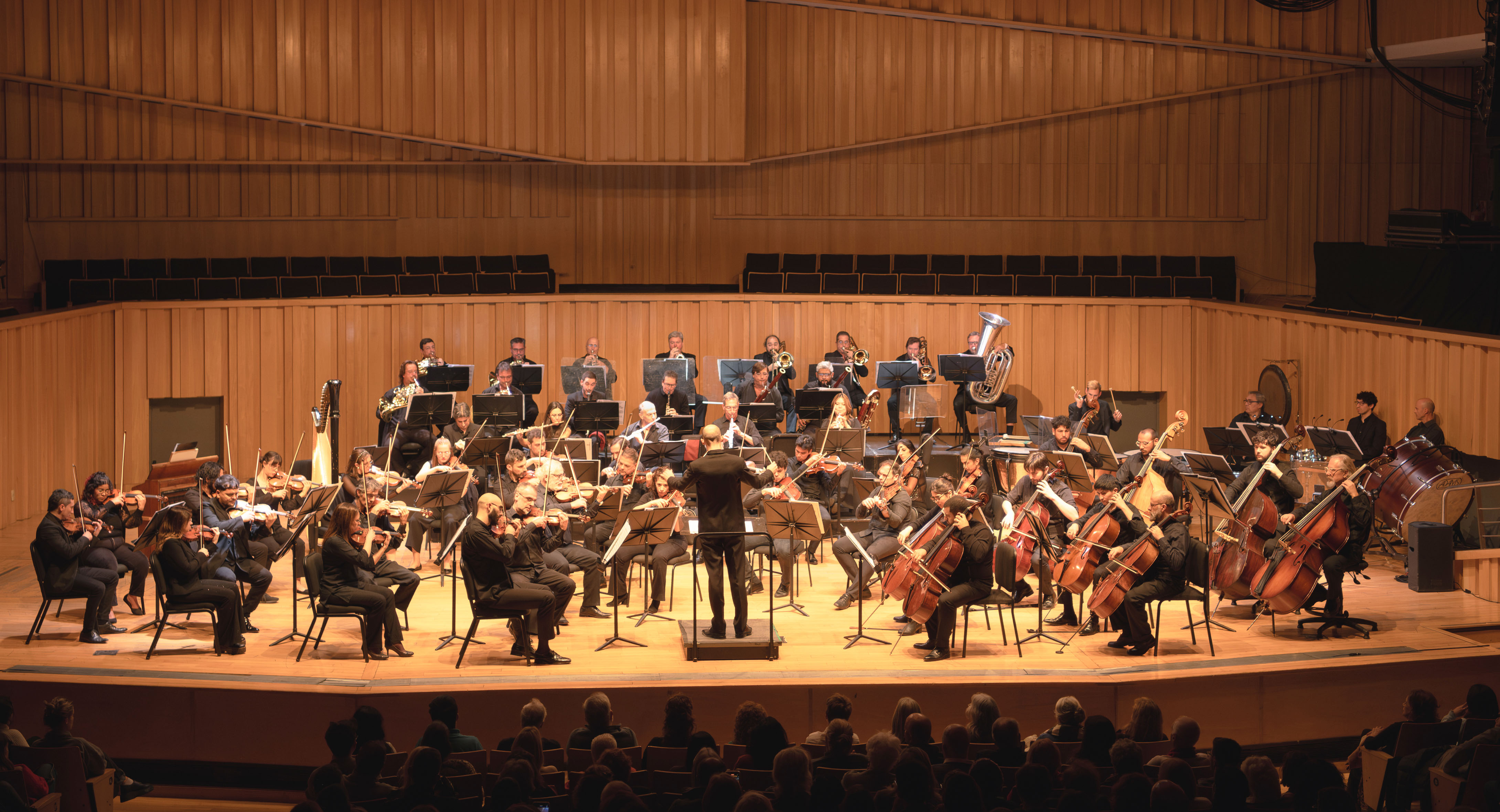 Orquesta Filarmónica de Buenos Aires