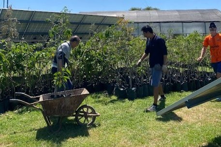 Trabajo en huerta y vivero