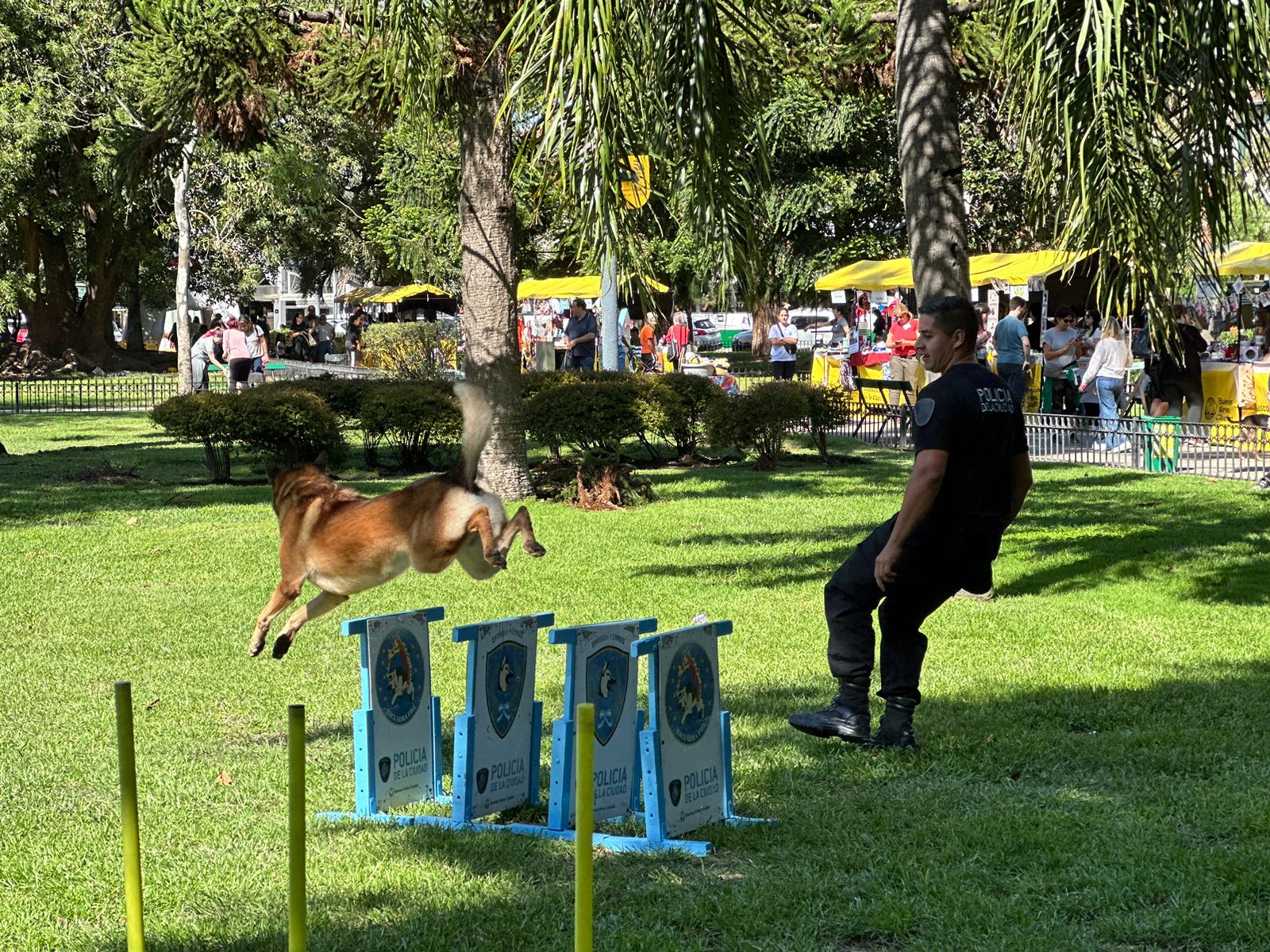 Aniversario División Perros