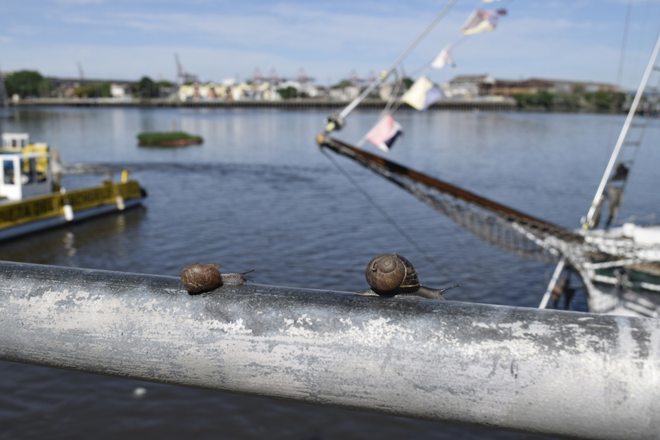 Expo Casa Tasso 2025 MBQM