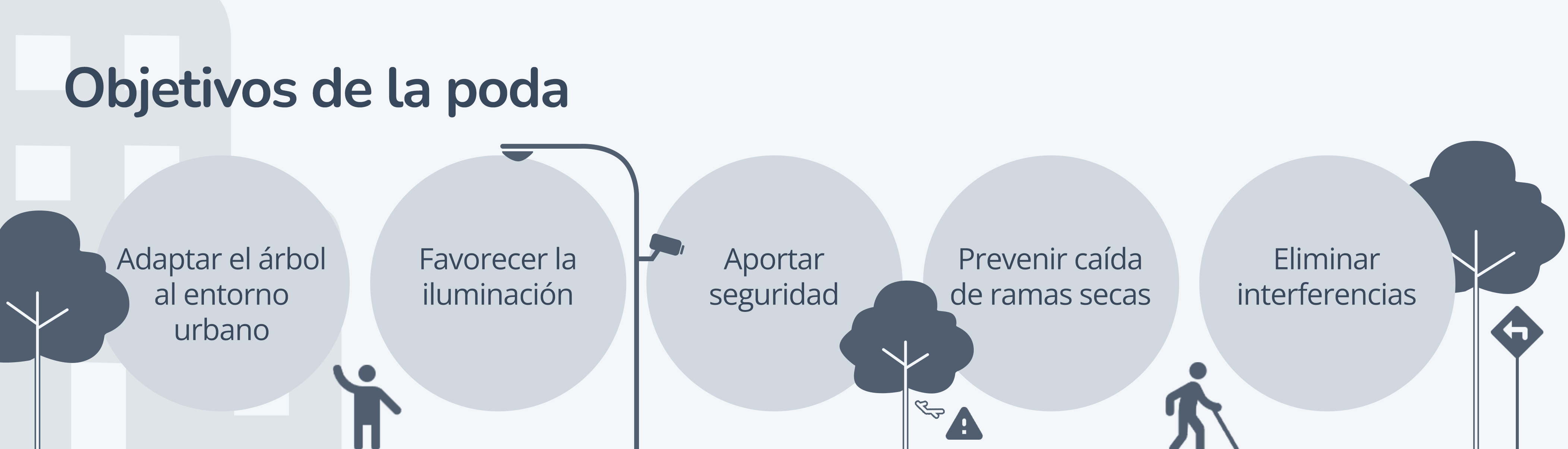 La imagen ilustra los objetivos de poda antes mencionados