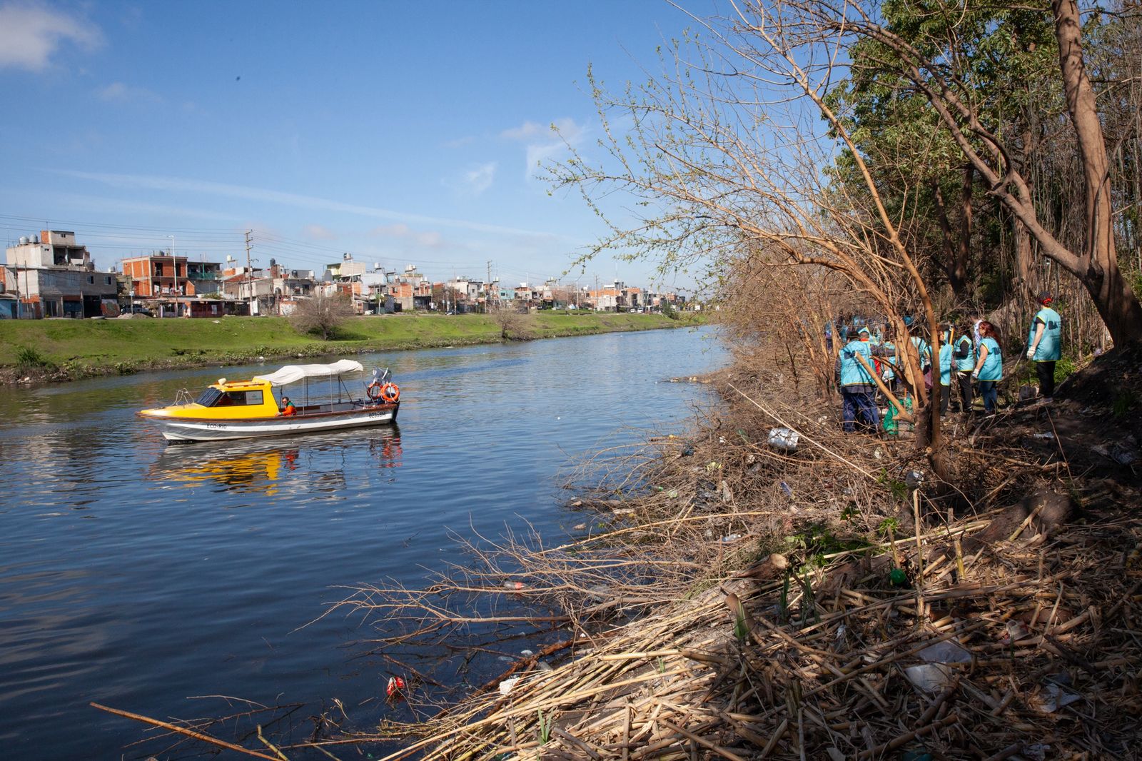 Plantación en el Camino de Sirga