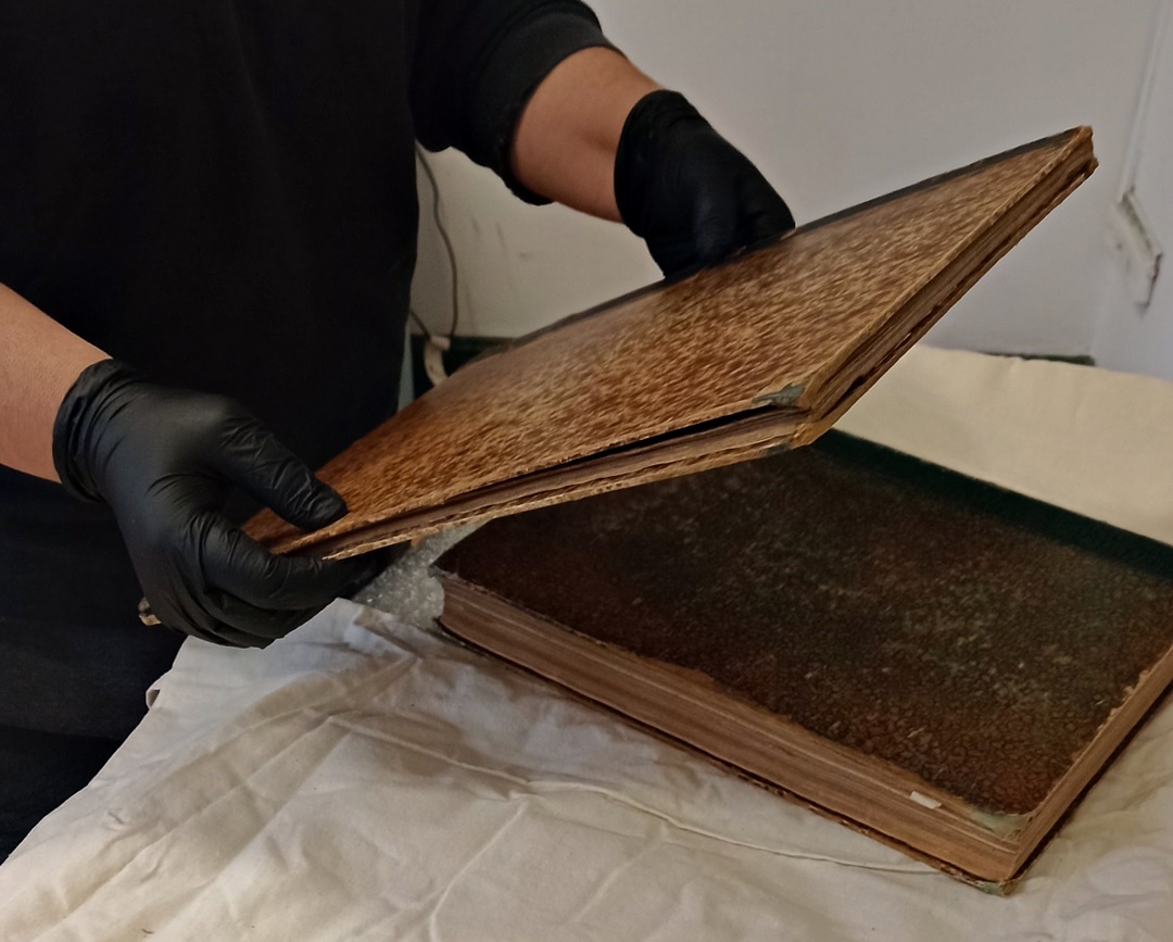 visita a la reserva técnica