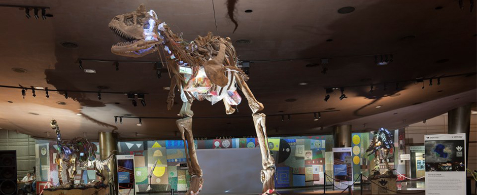 La Ciudad celebró el Día de la Ciencia  