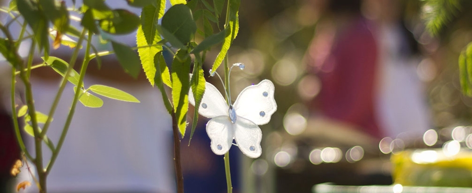Río + Vos, por el cuidado del medioambiente 