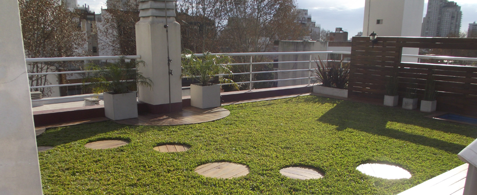 Techos verdes en Buenos Aires