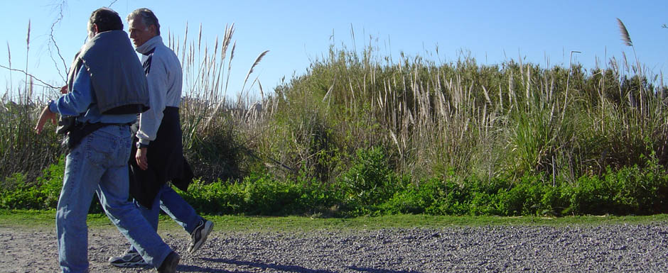 Aprovechá los espacios verdes de la Ciudad