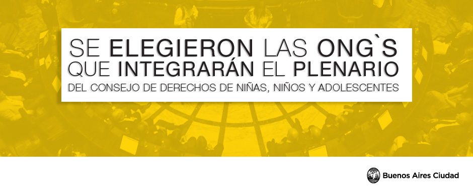 Se eligieron las organizaciones que formarán parte del Plenario