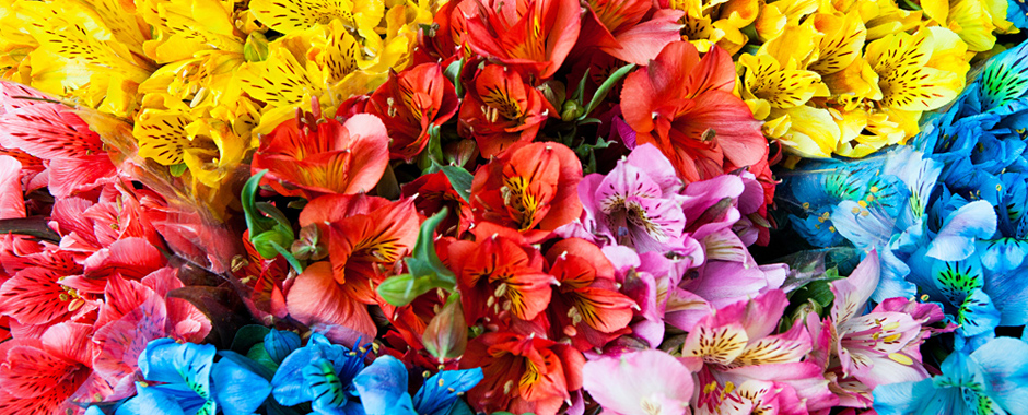 “La calle de las flores”