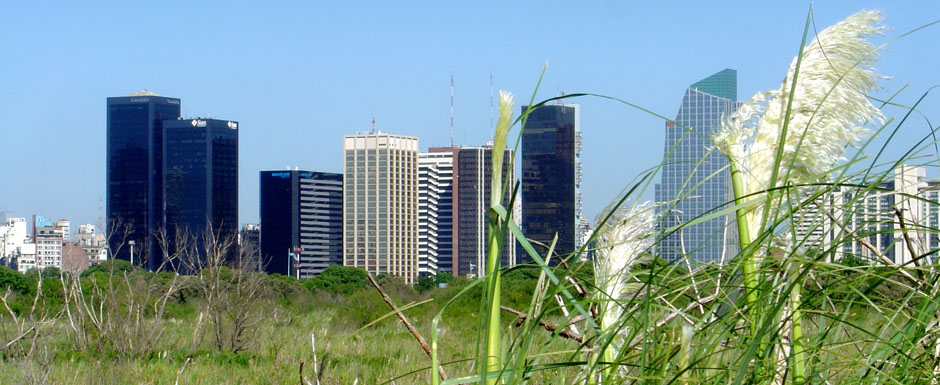 Ahora podés gestionar on line el Certificado de Aptitud Ambiental 