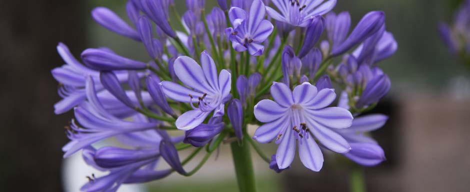 Prevención para el Día del Estudiante  
