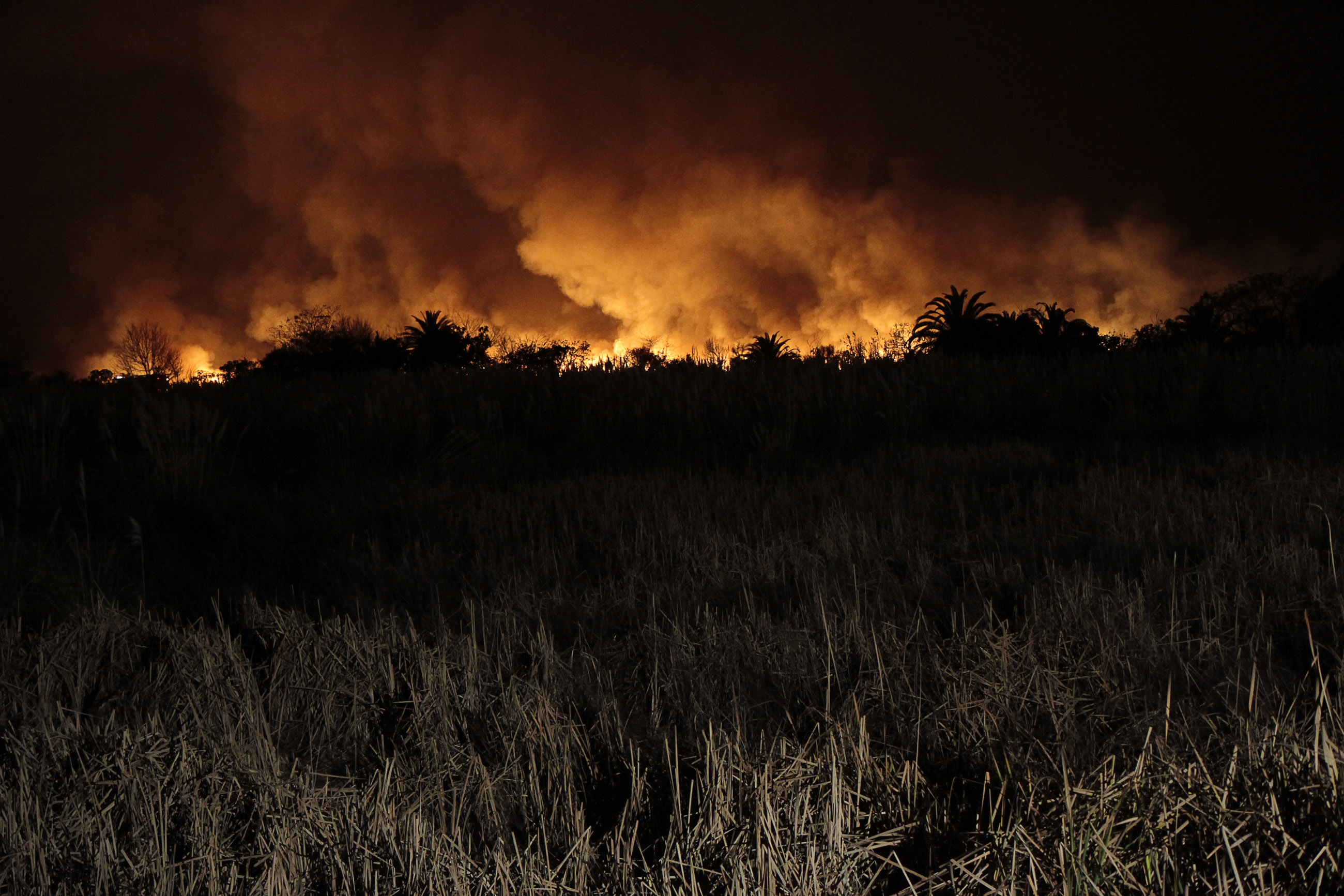 Incendio en la Reserva Ecológica: Macri dijo que lograron controlarlo