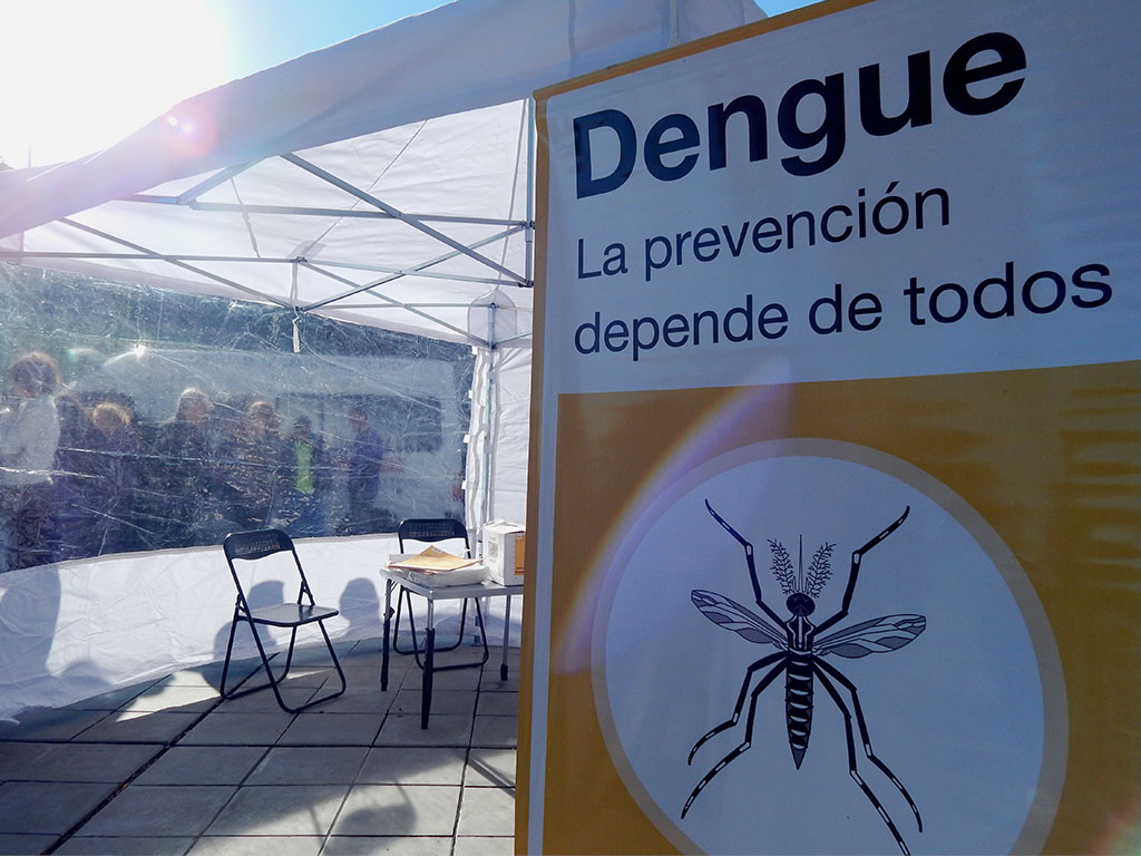 Paso a paso, cómo prevenir el dengue Buenos Aires Ciudad Gobierno