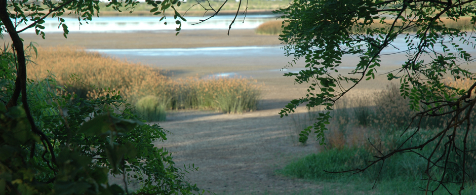 La Reserva Ecológica, una visita imperdible para grandes y chicos