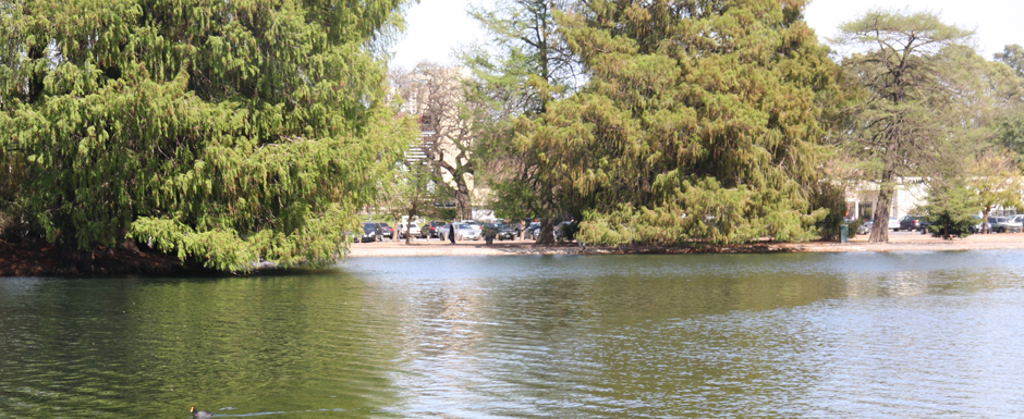 Comenzaron los trabajos de puesta en valor del Lago Regatas