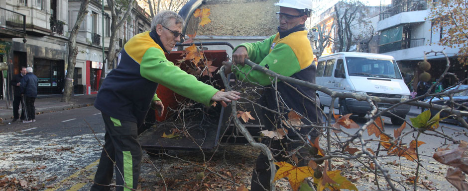 Comenzó la campaña invernal de poda 2014 