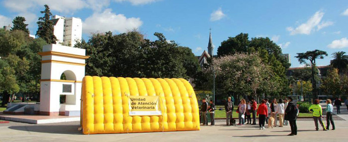 La Agencia de Protección Ambiental atiende gratuitamente a 800 mascotas por mes