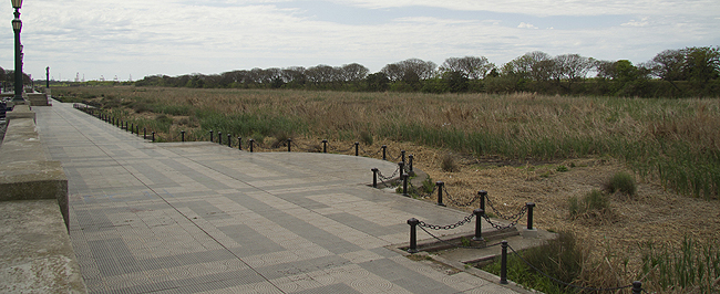 Reserva Ecológica De La Costanera Sur Buenos Aires Ciudad Gobierno De La Ciudad Autónoma De 0781