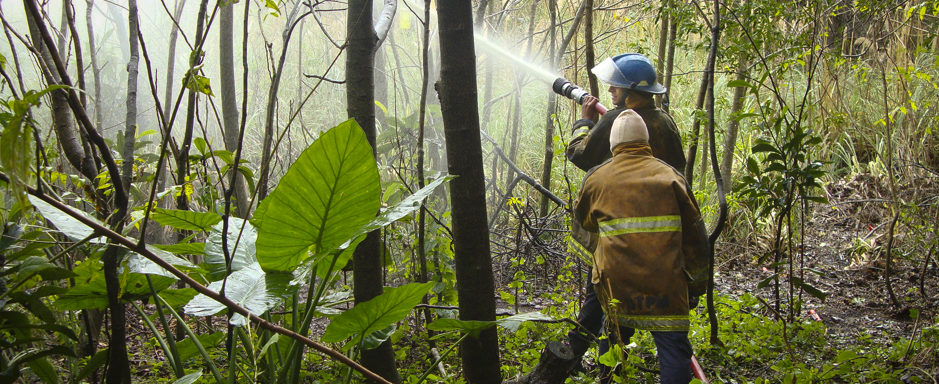 Se realizó un simulacro de incendio en la Reserva Ecológica