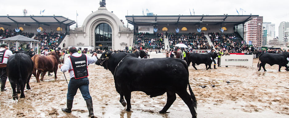 La Exposición Rural en imágenes