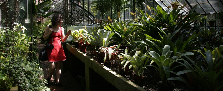 El Jardín Botánico, un paseo al aire libre para disfrutar en vacaciones