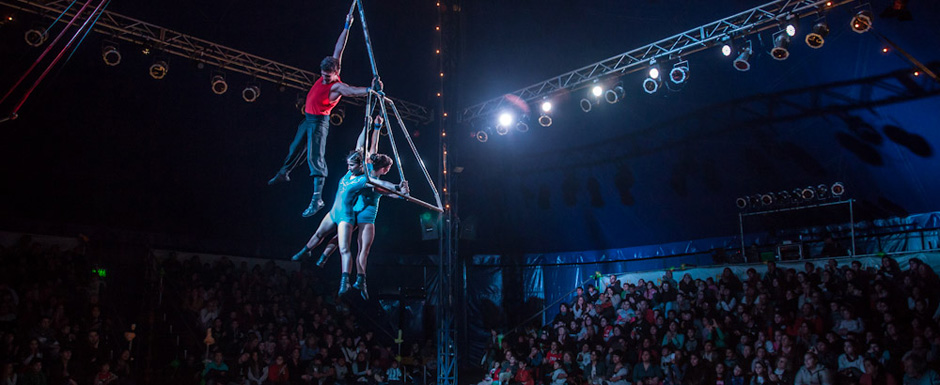 Polo Circo, a pleno para visitarlo en familia