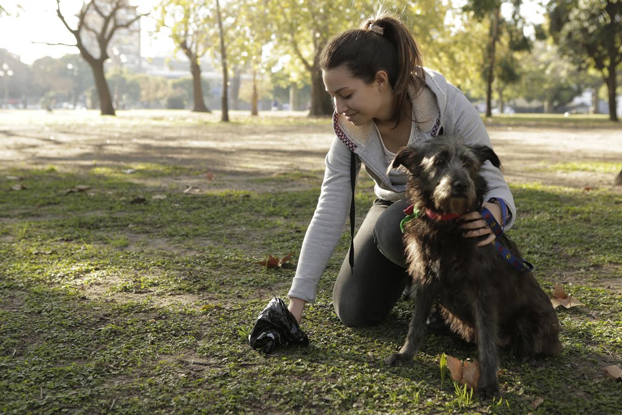 Se inauguró el primer parque para mascotas  Buenos Aires Ciudad - Gobierno  de la Ciudad Autónoma de Buenos Aires