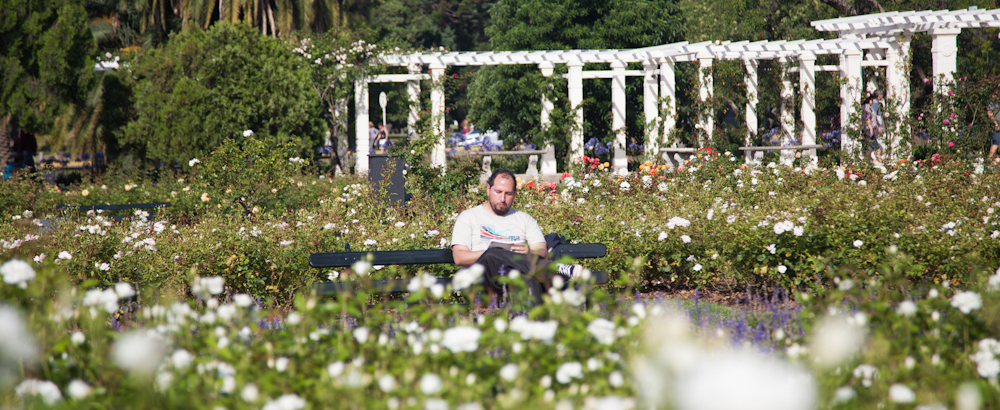 Imágenes del Rosedal, uno de los jardines más lindos de la Ciudad