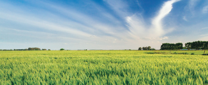 ¡Nueva edición de BA Celebra en El Dorrego!