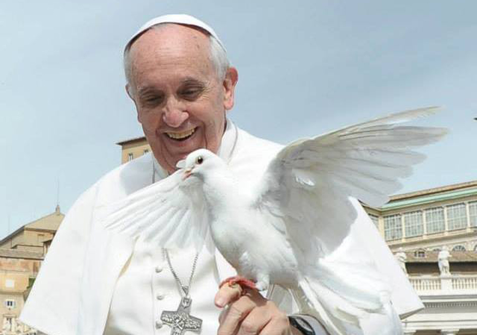 Francisco y la encíclica ecológica