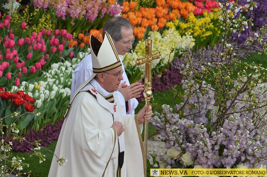 Elogios al Papa por su rol ecológico