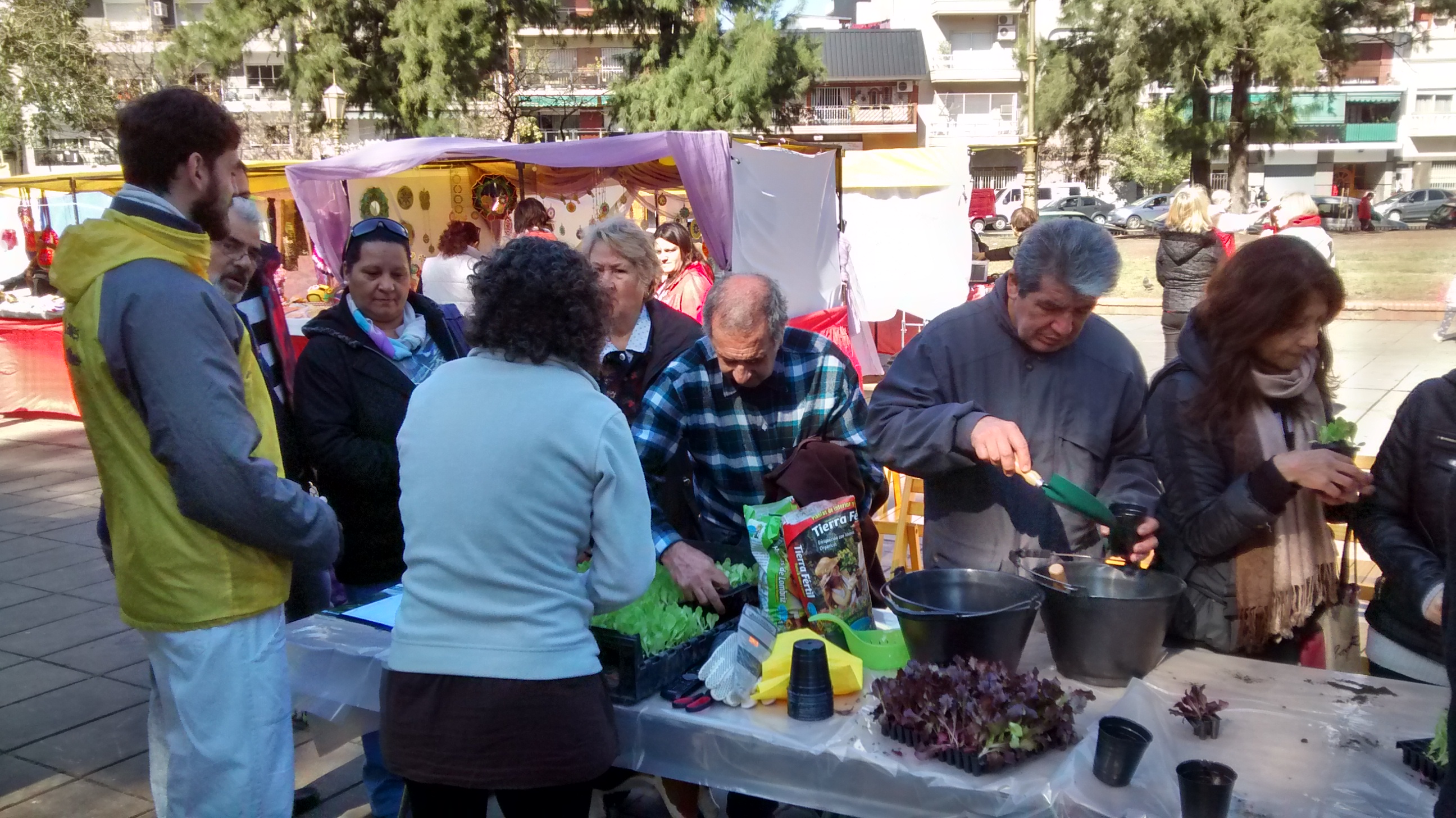 ¡Armá una huerta en tu casa!
