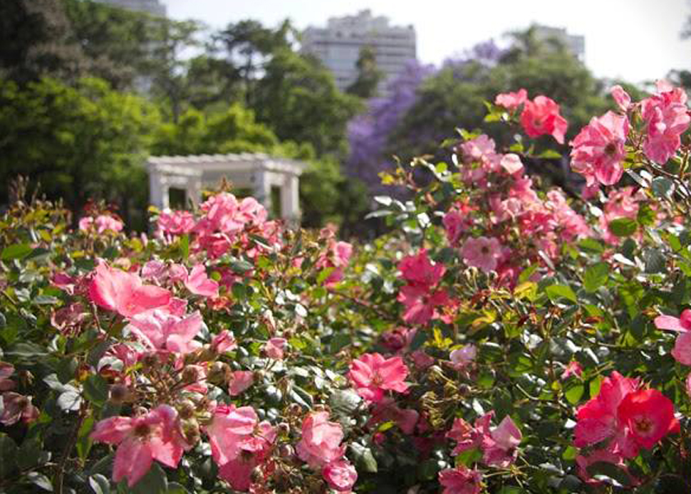 La Ciudad festeja el Día de la Primavera