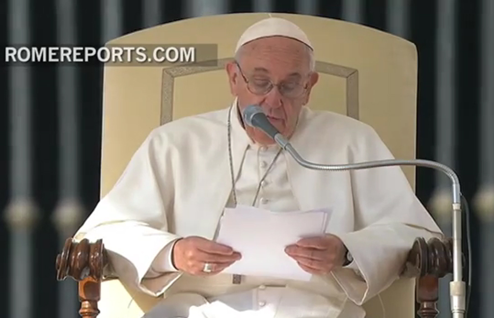 "¡Les pido perdón!"