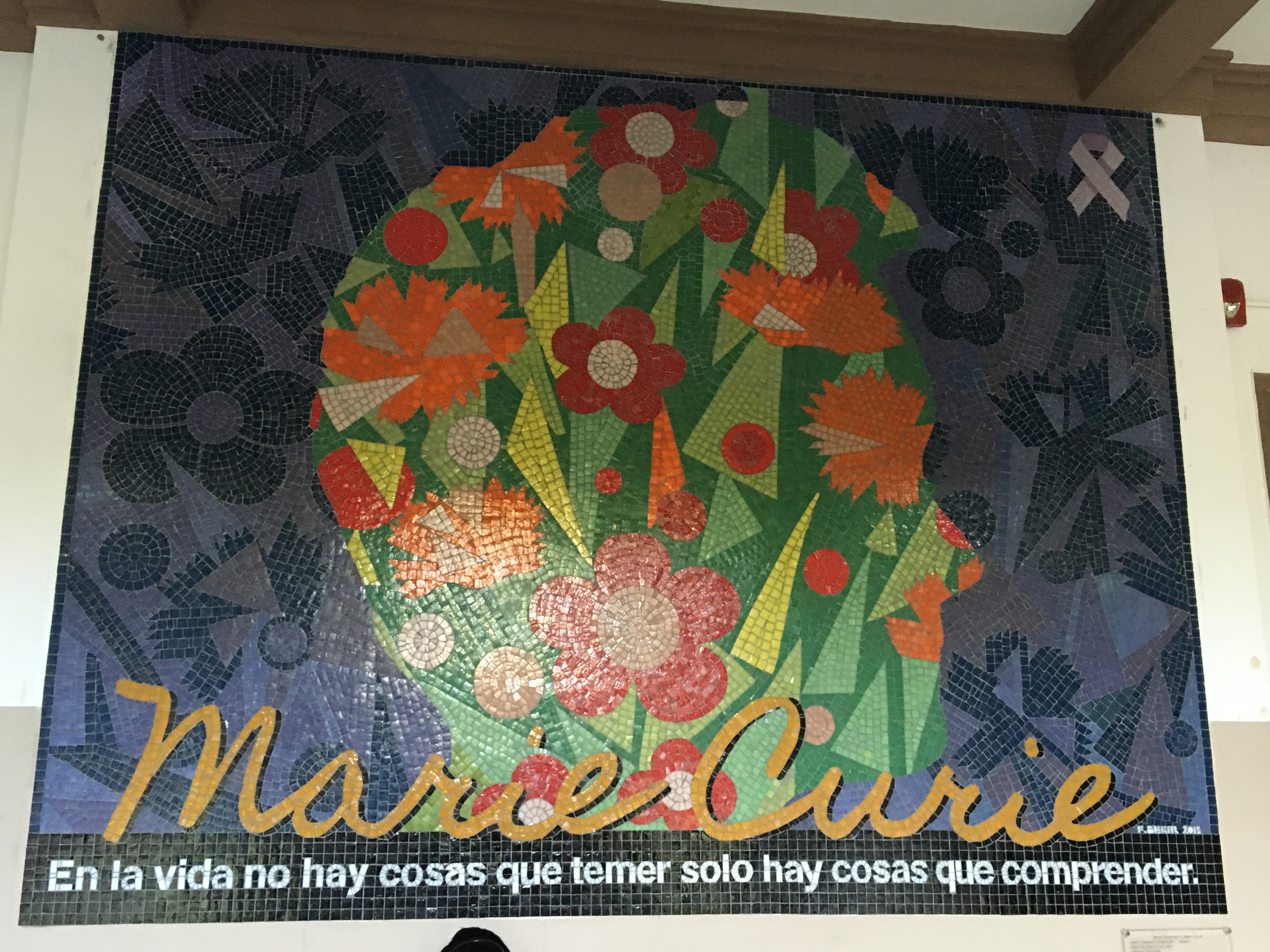 Hospital María Curie