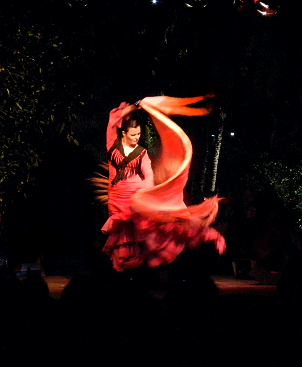Espectáculo de Flamenco - Última función, sábado 25 de marzo a las 20hs. 