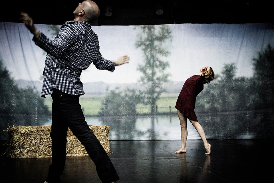 Anatomía de una relación