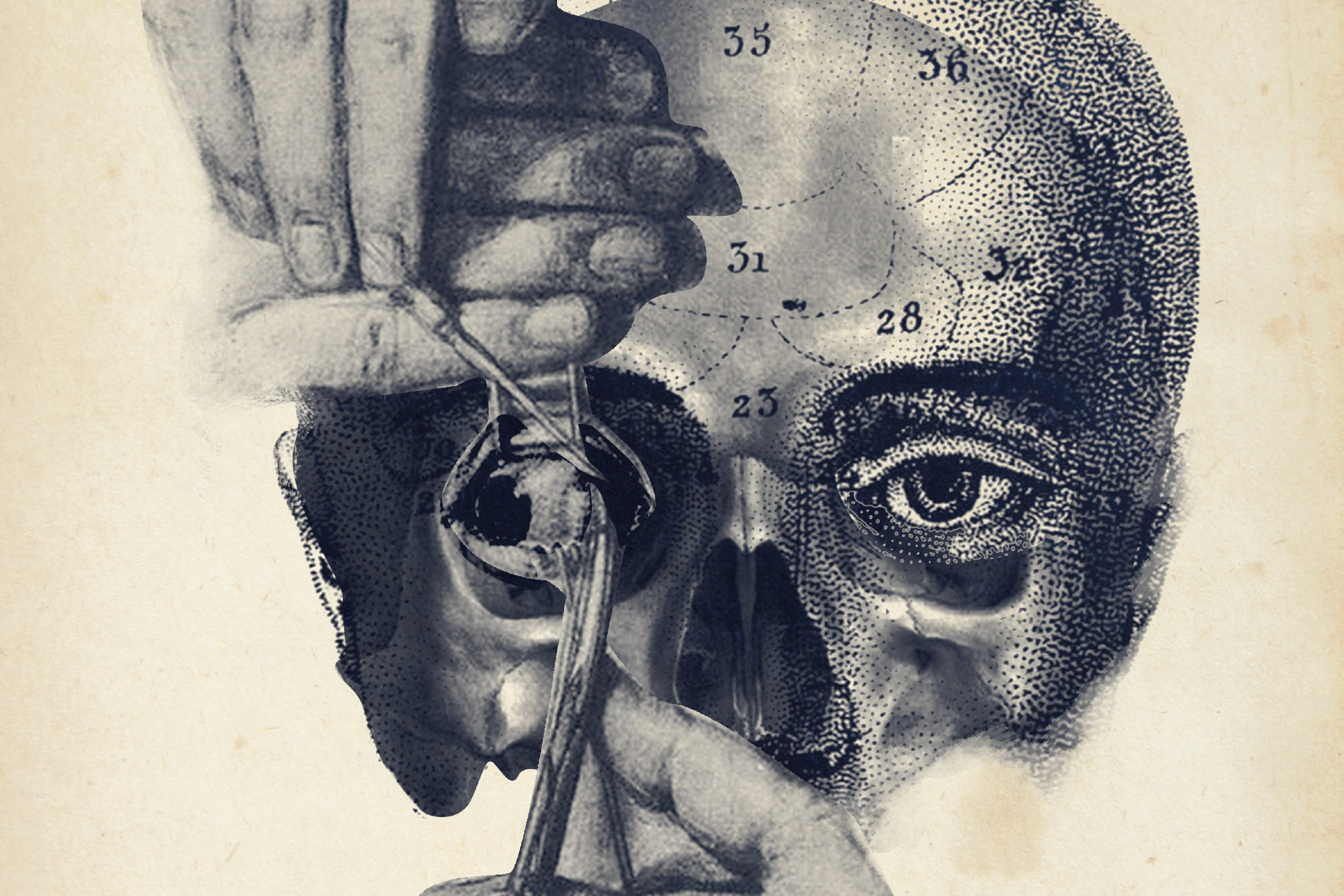 Frankenstein, 200 años