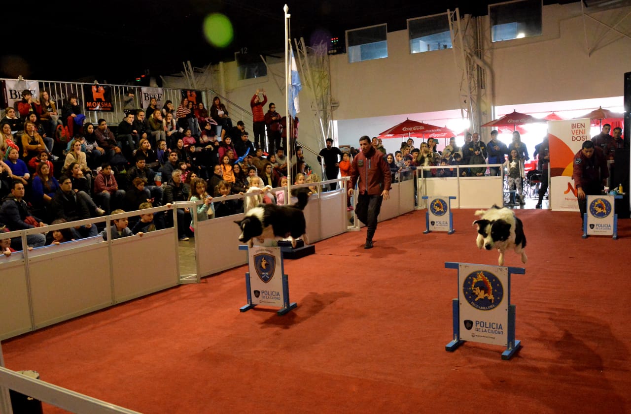 La División Canes de la Policía de la Ciudad se presentó en la exposición "Cachogos"
