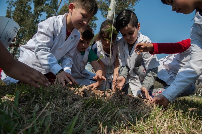 Alumnos de la Ciudad plantaron 500 árboles en el Parque Indoamericano