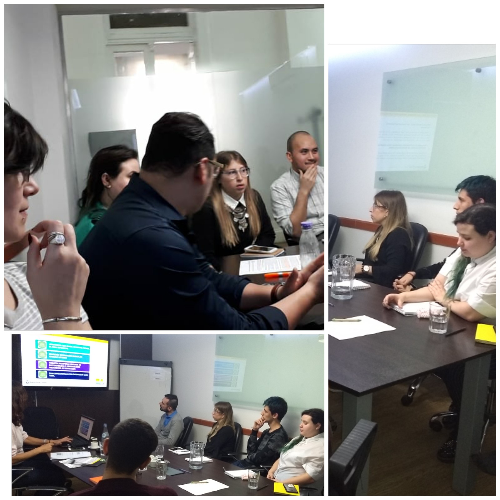 Taller de Verificadores de Sustentabilidad y Compras Sustentables .