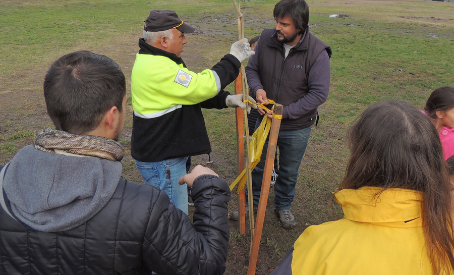 Las plantaciones de la Ciudad durante la Primavera