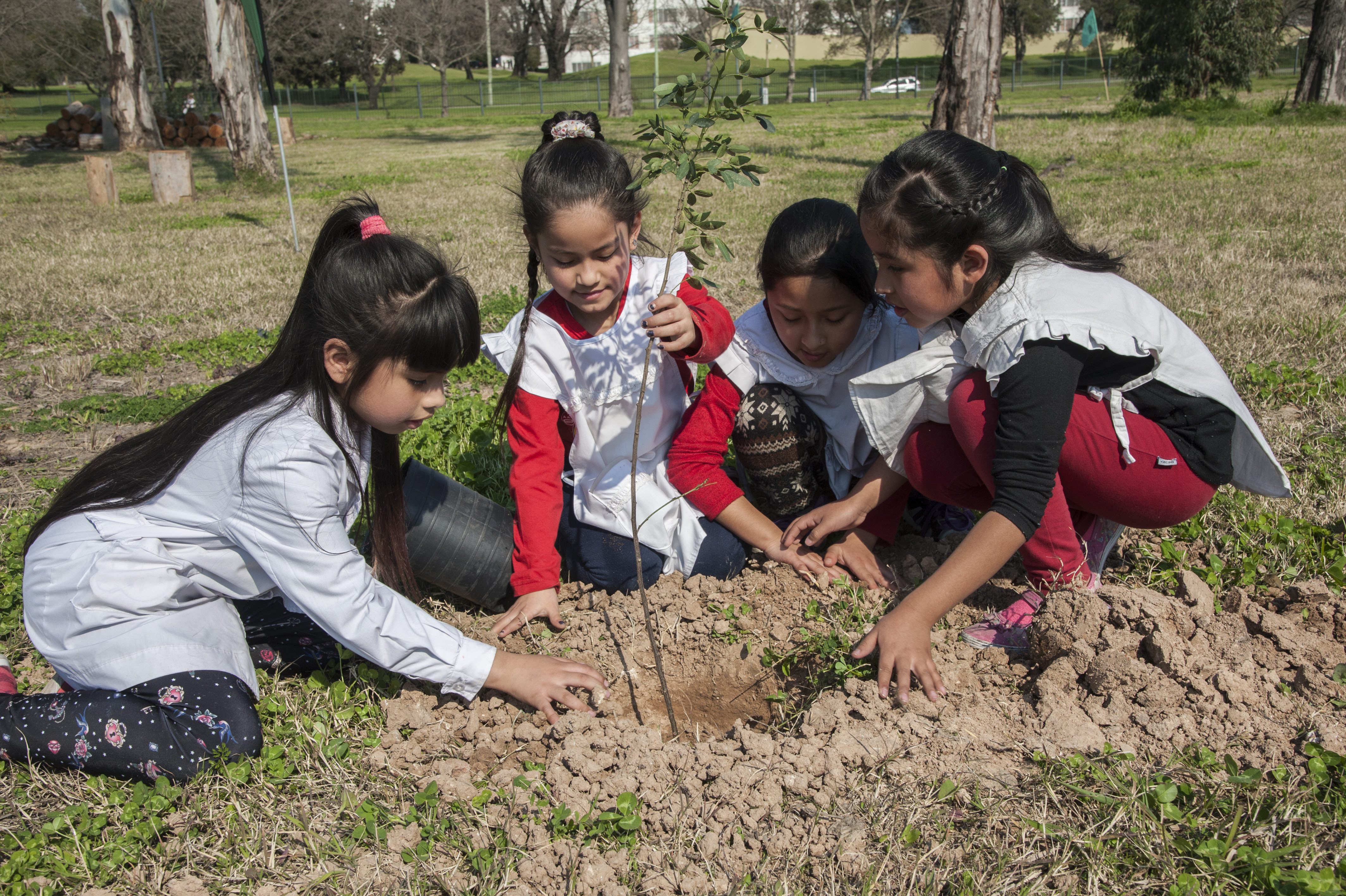 Plantar un árbol es plantar futuro | Buenos Aires Ciudad - Gobierno de la  Ciudad Autónoma de Buenos Aires