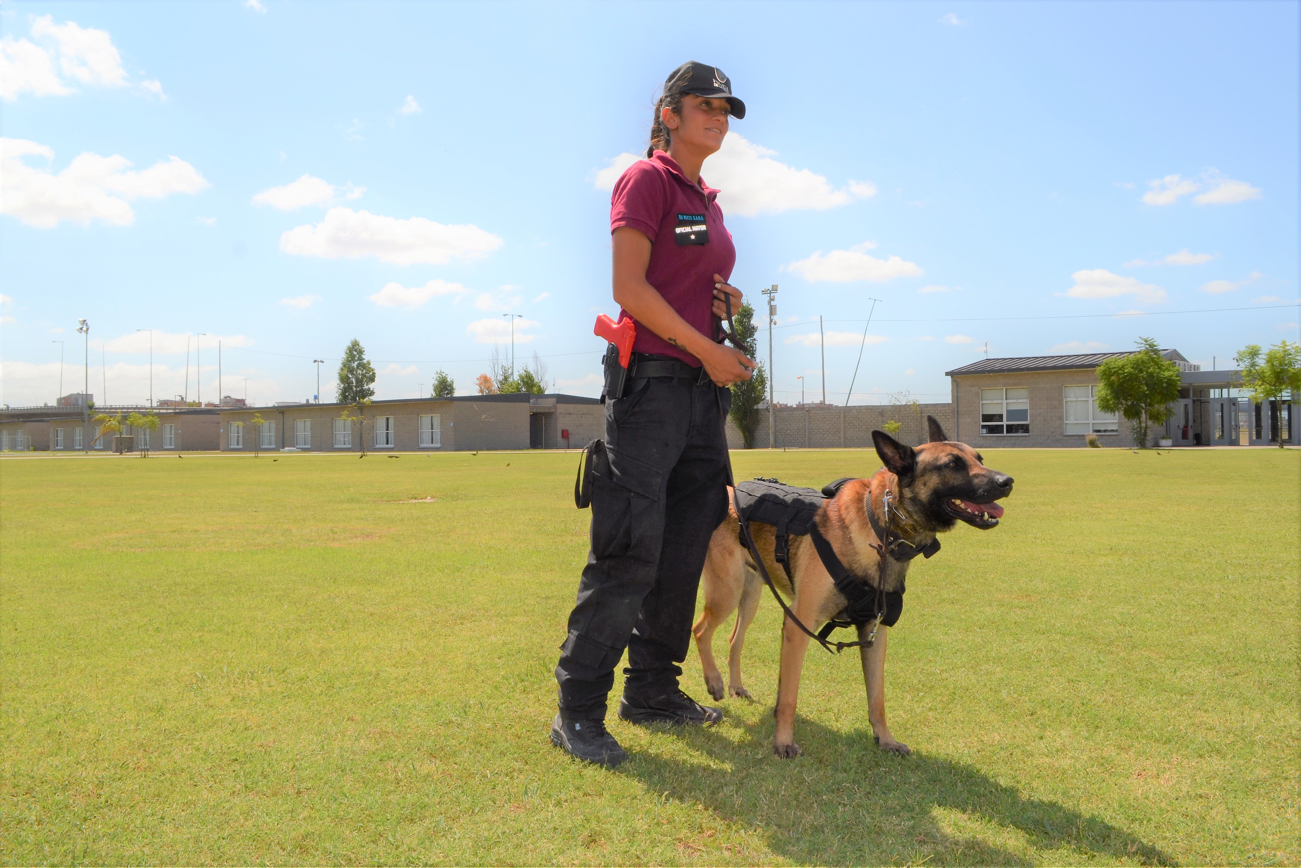 Los vecinos podrán participar de un entrenamiento de perros de la policía