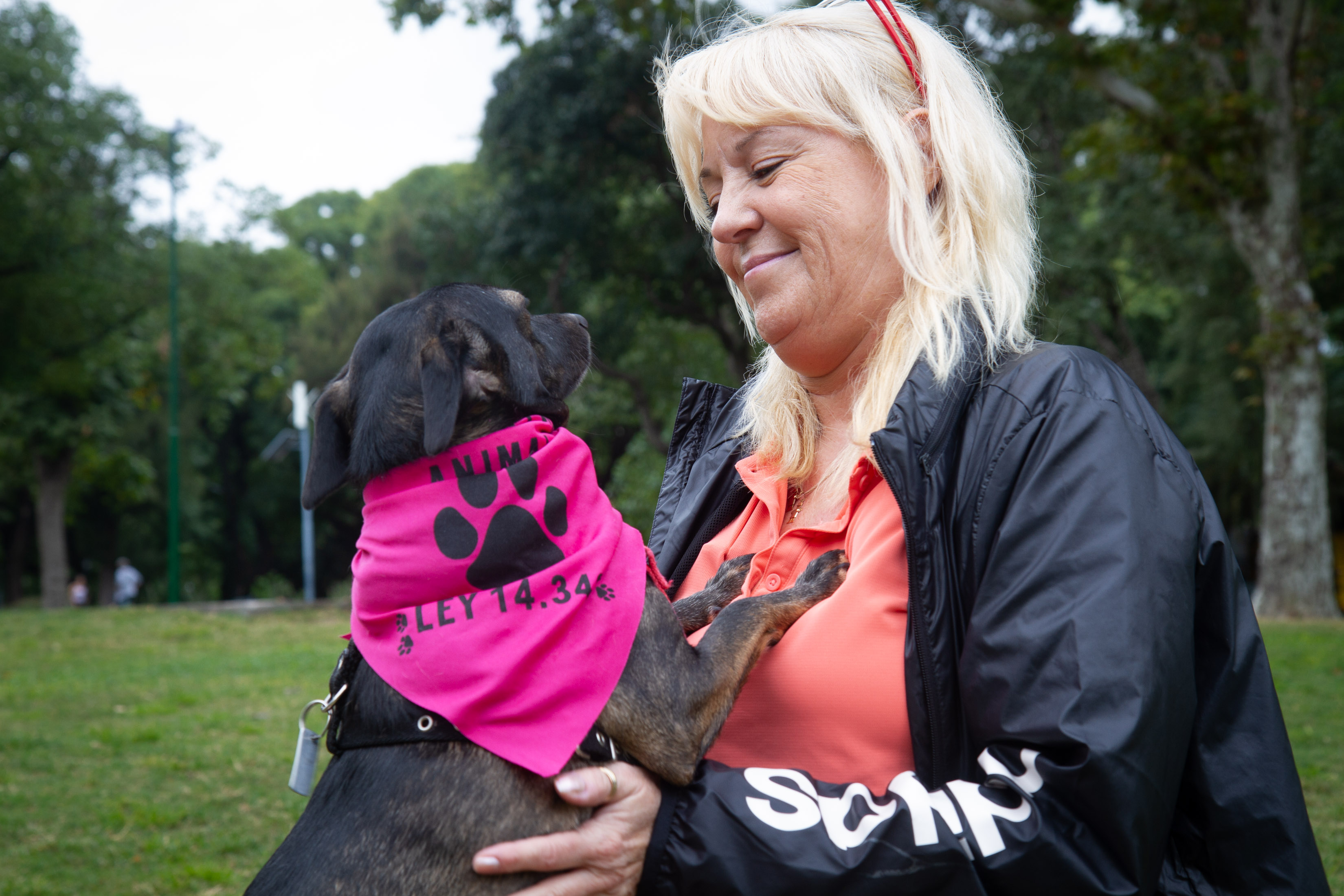 Día del Animal: la Ciudad dio en adopción a más de mil perros y gatos rescatados